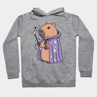 Capybara Wizard Hoodie